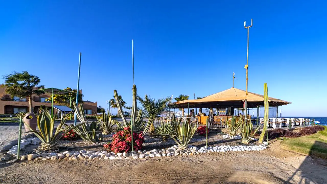 الفندق سينتيدو أكاسيا بيتش - القصير